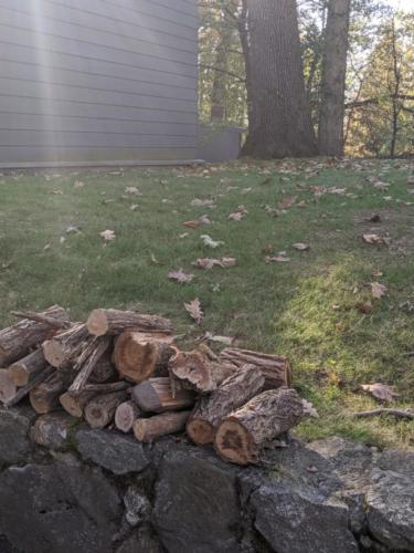 00000IMG_00000_BURST20191116135944470_COVER