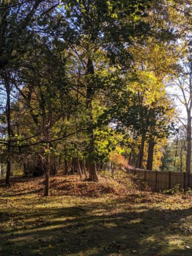 00000IMG_00000_BURST20191116140055439_COVER