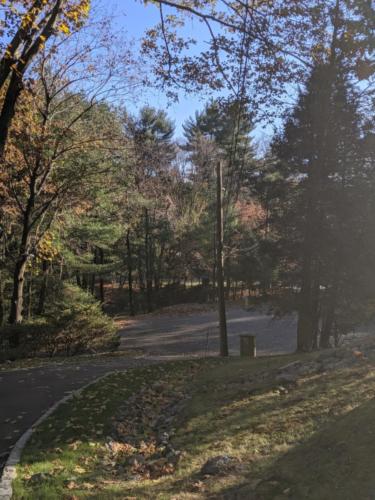 00000IMG_00000_BURST20191116140713270_COVER