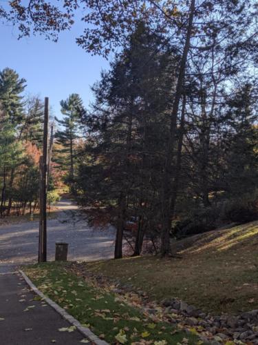 00000IMG_00000_BURST20191116140723236_COVER