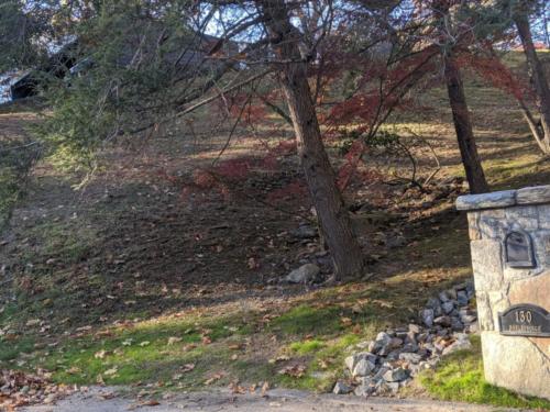 00000IMG_00000_BURST20191116140848050_COVER