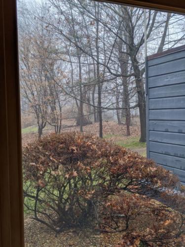 00000IMG_00000_BURST20200104112526073_COVER