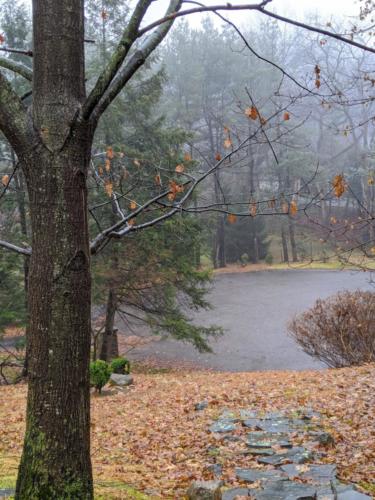 00000IMG_00000_BURST20200104112743000_COVER