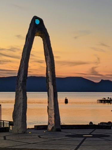 00000IMG_00000_BURST20200217174646574_COVER