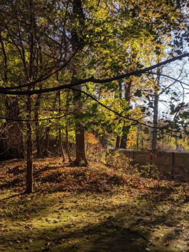 00100lPORTRAIT_00100_BURST20191116140112083_COVER