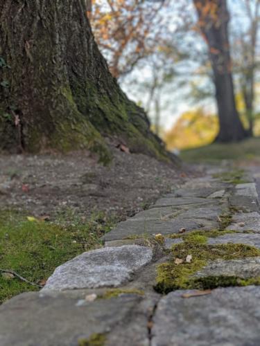 00100lPORTRAIT_00100_BURST20191116140638549_COVER