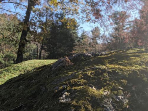 00100lPORTRAIT_00100_BURST20191116140655087_COVER