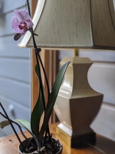 00100lrPORTRAIT_00100_BURST20191123134623727_COVER