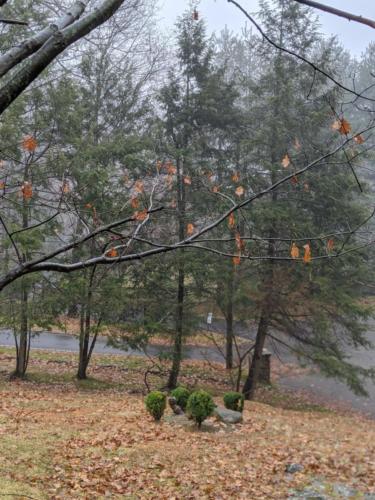 00100lrPORTRAIT_00100_BURST20200104112721183_COVER