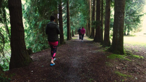 AUD-20180521-WA0009.00_00_36_16.Imagen fija013