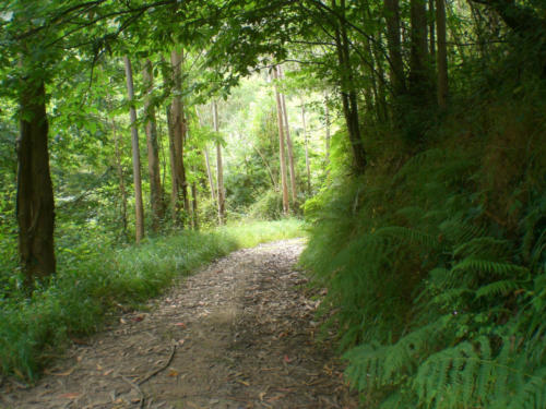 Ashram-de-la-Peral-5