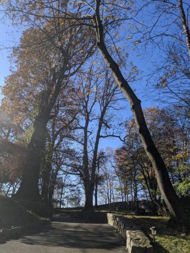 IMG_20191116_134506-scaled