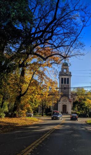 MVIMG_20191028_095555-scaled