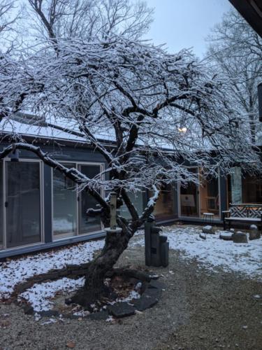 MVIMG_20191211_073111