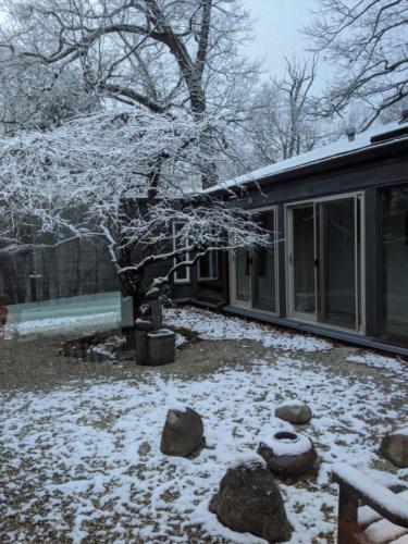 MVIMG_20191211_073156