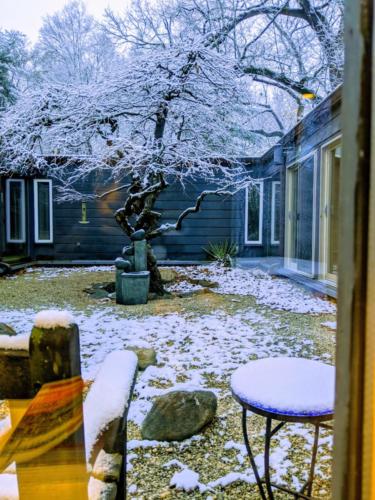 MVIMG_20191211_073226