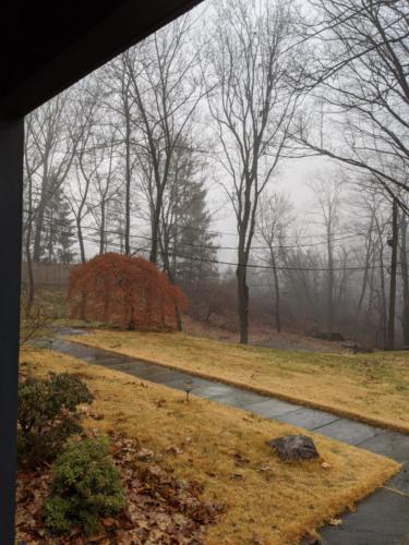 MVIMG_20200104_112248