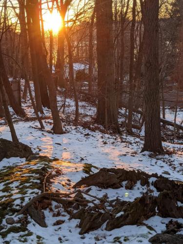 MVIMG_20200122_164502-scaled