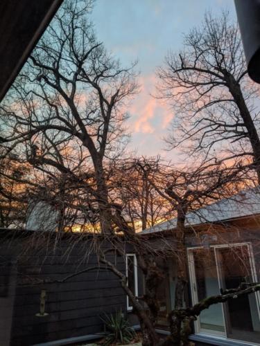 MVIMG_20200213_173417