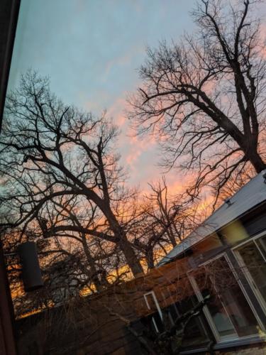 MVIMG_20200213_173430