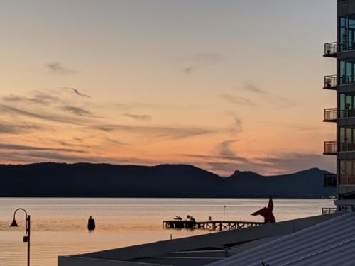 MVIMG_20200217_174821