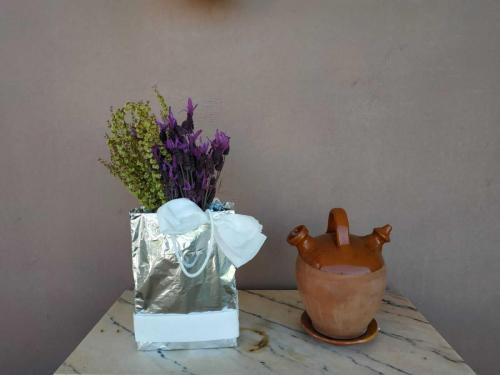 WhatsApp-Image-2020-05-17-at-6.30.24-AM